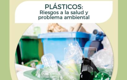 Introducción Plásticos: Riesgos a la salud y problema ambiental