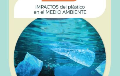 Módulo 3 Impactos del plástico en el Medio Ambiente