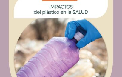 Módulo 4 Impactos del plástico en la salud
