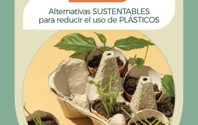 Módulo 5 Alternativas Sustentables para reducir el uso de plástico