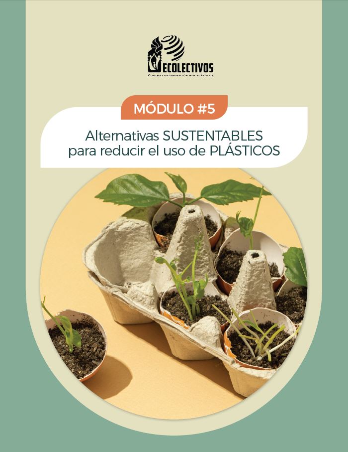Módulo 5 Alternativas Sustentables para reducir el uso de plástico