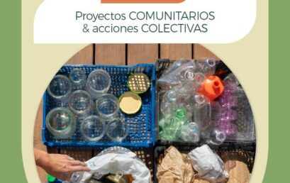Módulo 8 Proyectos comunitarios y acciones colectivas